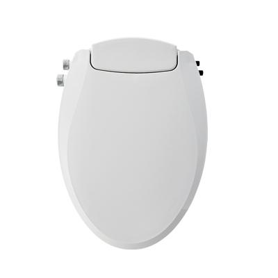 China Auto Spout Self Cleaning Oval V Shape Hot And Cold Water Bidet Seat Toilet for sale