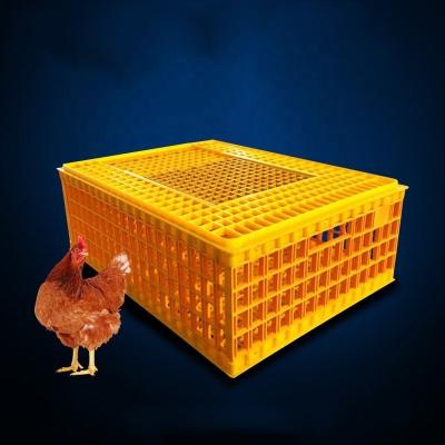 China High quality plastic farms poultry transport cage for sale for sale