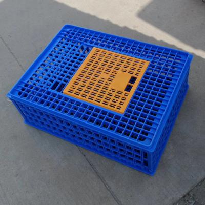 China Dezhou hansen farms factory transport crates for live chicken/duck/goose for sale