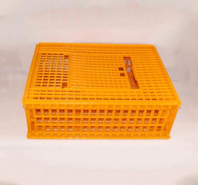 China Farms Durable Plastic Transport Crates For Live Chicken for sale