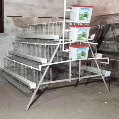 China Breeds Professional Chicken Layer Cage Poultry Layer Cages Poultry Cages For Layer Chickens for sale