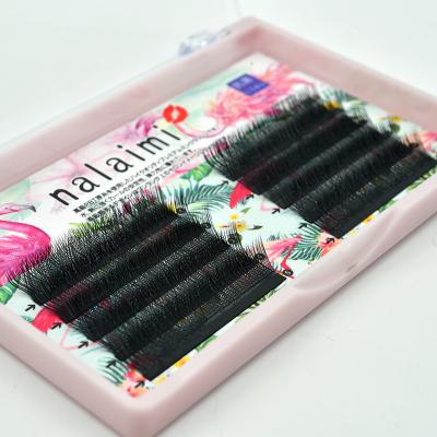 China YY Eyelash Extension Premade Volume Fans Long Natural Eyelash Extension Lash Extension Korea for sale