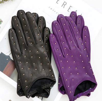 China ZF1020 Women Simple Fashion Dress Purple Color Short Leather Training Gloves With Studs for sale