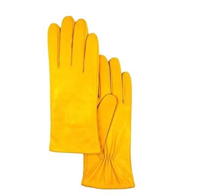 China ZF5829 Plain Simple Style Brightening Yellow Girls Winter Women Leather Workout Gloves for sale