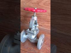 Stainless Steel Globe Valve CF8M / CF8 Cryogenic Temperature Easy To Maintain