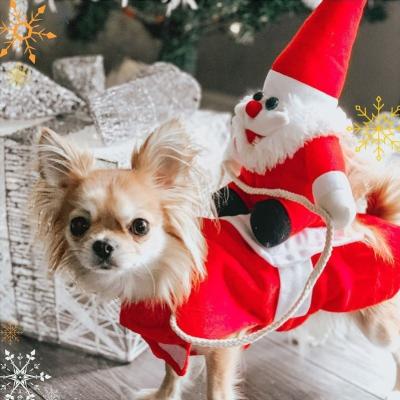 China Factory Direct Sales Viable Design Independent Christmas Popular Dog Clothes for sale