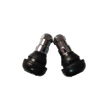 China Zinc (Zn) 2021 China Special Sale Snap-in Tubeless Rubber Tire Valves TR412C for sale