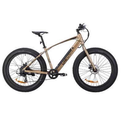 China Aluminum alloy china latest design 26 inch new fatbike 48V dirt bike dual motor electric adult ebike 500w for sale