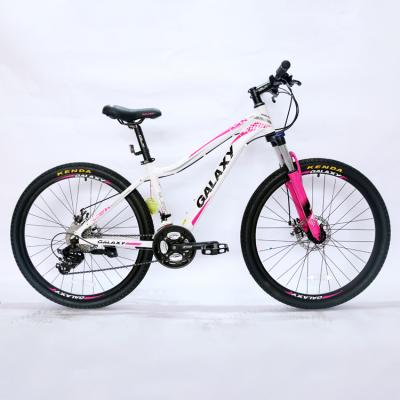 China Aluminum alloy sport racing mtb bicycle mountain bike frame mountain bike for sale