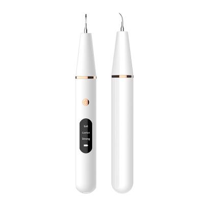 China Remove Tartar Stains Ultrasonic Plaque Remover For Teeth Electric Tooth Remover With Visible Camera Electric Dental Calculus Calculus Remover Tool for sale