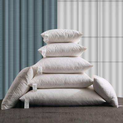 China 40cm Anti-Decubitus Duck Cushion Inserts Feather 60x60 18x18 Pillow Insert Cushions Down Cushion Insert for sale