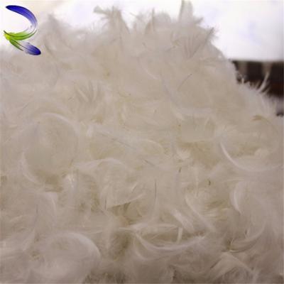 China Factory Price Soft Warm White Quilting Duck Feather, Duck Down Feather For Home Whole Textiles for sale