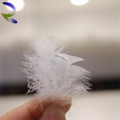 China White Washed Quilting Filling Material Duck Down Feather Washed Duck Down Feather Duck Feather And Down Slippers for sale