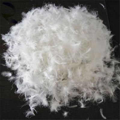 China Pungency 2-4cm 4-6cm 5%-95% 90% wholesale washed white/grey goose feather 850fp down raw material goose down on sale for sale