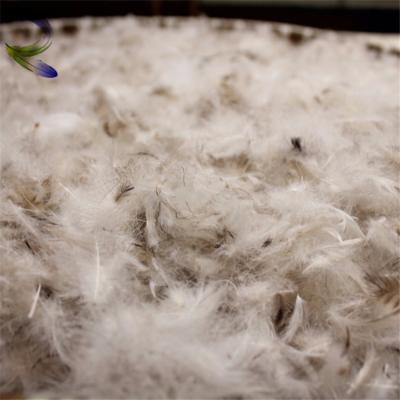 China Factory price 5%-95% pungent filling raw material washed white / gray duck goose down on sale for sale