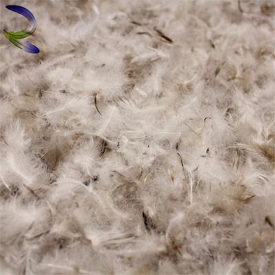 China Cheap Quilting Hot Sale Washed Down Waterproof Duck Feather Purchase Duck Down Fill Duck Down Feather for sale