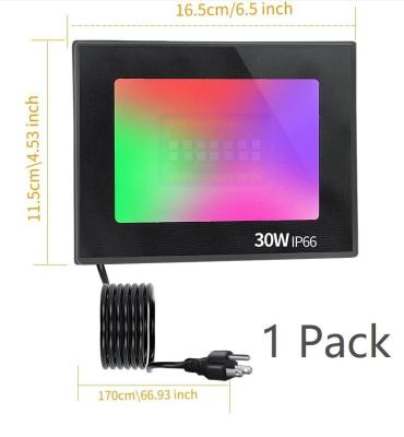 China Hot-selling 1 Pack On Amazon Ebay 30W Outdoor Garden Led RGB Smart Flood Light From Chinese Warehouse for sale