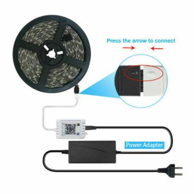 China Garden 5M Waterproof 5050 RGB 300 LED SMD LED Strip Lights 12V + 44 IR Main Controller for sale