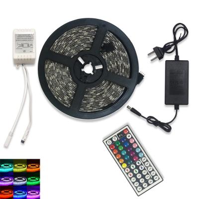 China Outdoor theme park 220v 110v 24v 12v LED color changing rope lighting led rope light for sale