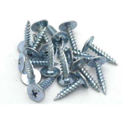 China China Industry Manufacture General Professional Stainless Steel Flat Head Screw Self Tapping Screw for sale