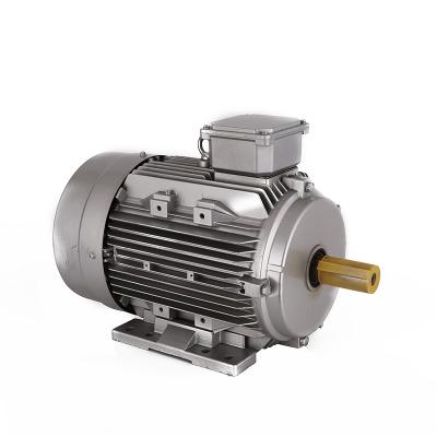 China Totally Enclosed High Quality Series Y2 3 Phase 20Hp 15Kw Induction AC Motor for sale