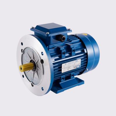 China Y2 Y2 90S4 Series Totally Enclosed Three Phase AC Motor for sale