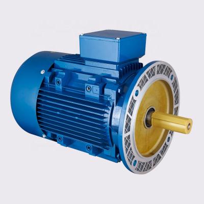 China RAINCOAT ; Y2132S1-2 DUSTPROOF Cheap Price 5Kw 3 Phase Asynchronous I AC Induction Motor for sale