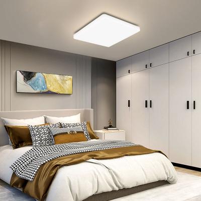 China Modern Panel Light Factory Low Price 20W Luminous Body Lamp Office Rohs Homes Bedroom for sale