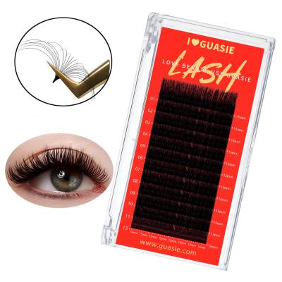 China Natural Easy Auto Fan Eyelash Extensions Fan Mega Volume Lash Trays 0.05 Curl 8-25mm Mink Lash Trays D for sale