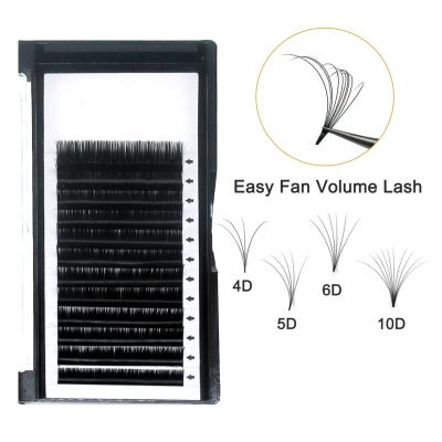 China Natural 3d 4d 5d 6d 6d Russian Volume Lash Trays Eyelash Extensions Premade Handmade Fans for sale