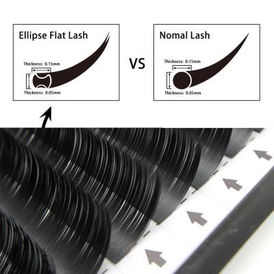 China Durable Premium Comfort Loop Matte Lash Single Double Tips Ellipse Classic Extension PBT Korean Fiber Flat Lashes Single Eyelash Extension for sale