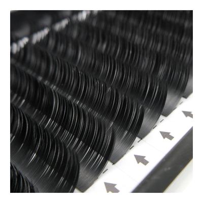 China Private Label Korean Classic Soft Ellipse Mink Flat False Lashes Super Flat Eyelash Extensions for sale