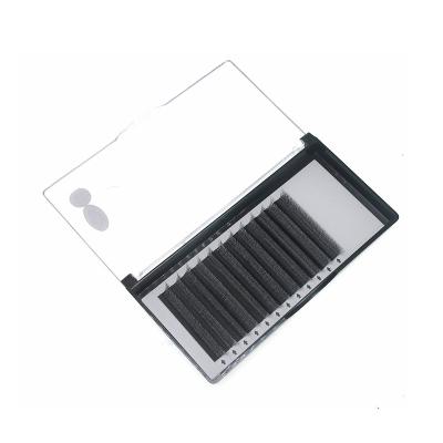 China Soft Classic Design Y W 5D Mink Eyelash Extension Professional Eyelash Extension Customized Eyelashes for sale