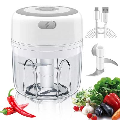 China Viable USB Charging Mini Chopper Smart Kitchen Tools For Vegetable And Garlic Food Cleaver for sale