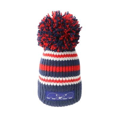 China Custom Logo 100% Acrylic Knitted Pom Pom Big Bobble Beanie Hat For Winter Autunm Season for sale