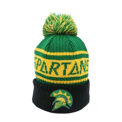 China Soft 100% Acrylic Winter Knitted Hat With Custom Embroidery Logo For Winter Sports for sale