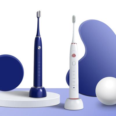 China Rechargeable Motor Electronic Electric Adult Use Hot Sale Magnetic Levitation Sonic Electric Toothbrush for sale