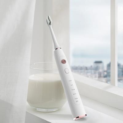 China IPX7 Waterproof Battery Operated Electric Adult Toothbrush Designed by Sarmocare for sale