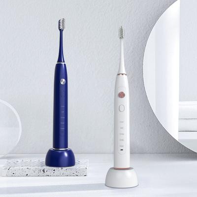 China OEM Rechargeable High Quality Black Sonic Pink Blue Electric Toothbrush for sale