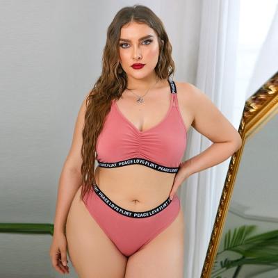 China Sexy Clothing Women Plus Size 2 Swimwear Fashion Letter Sports Bras Set Sexy Pink Two Piece Bikini Set for sale