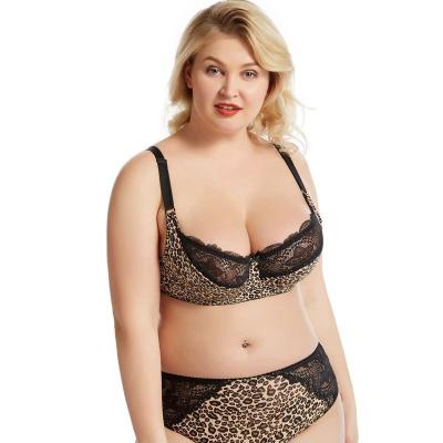 China D G 36 QUICK DRY Thin E-F Cup Full Size 46 Cheeky Leopard Big Cup Lace Design Bra & amp; brief sets plus size bra set for sale