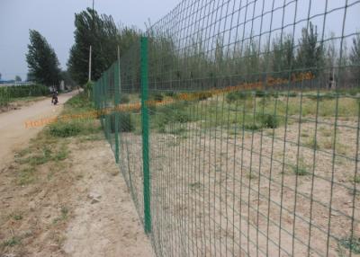 China High Strength Galvanized Chain Link Fence , Temporary Vinyl Coated Chain Link Fence for sale