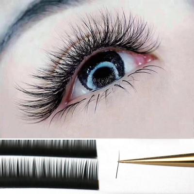 China Professional Individual Kit Long Strands Natural Cashmere Long Strands Luxury Silk Leading Kit Professional Individual Lash Volume Eyelash Extensions for sale