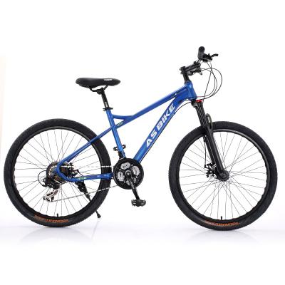 China 2022 high carbon steel chinese factory customize electric bicycle mountain city wholesale mountain bike for sale