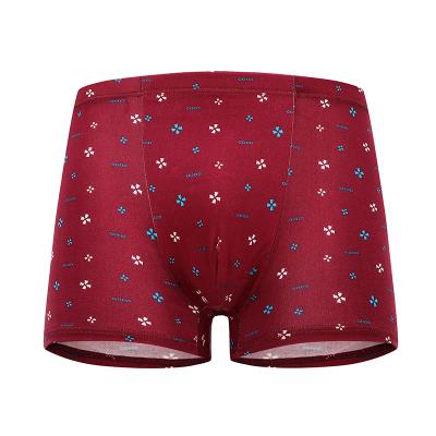 China 2022 Custom Fashion Polyester Men Underwear Antibacterial Comfortable Sexy Boxer Shorts for sale