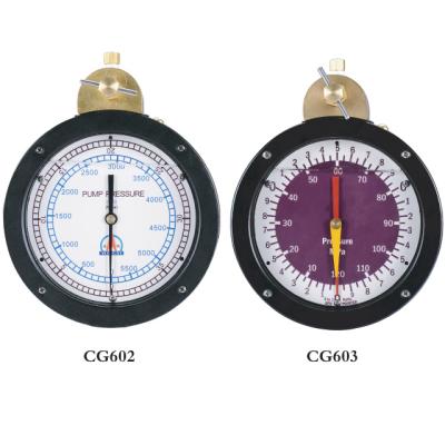 China Column pressure meter CG603 for sale