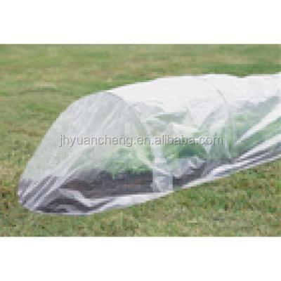 China Easily Assembled Premium Promotional Custom Mini Tunnel Greenhouse for sale