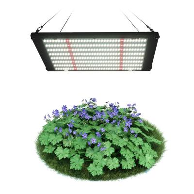 China Seed Starting Growing Led Light Pcb Hydroponic Led Grow Light Electronic Component lm301b Samsung Pcb Manufacturer for sale