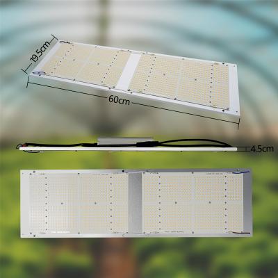 China Seed Starting Big Sale Custom 240w Full Spectrum Low Led Grow Light For Hydroponic Plant for sale