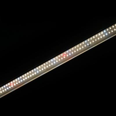 China Seed Starting Customized 100W Lm301B Full Spectrum Hydroponics Horticulture Led IR UV Sulight Led Grow Light Bar for sale